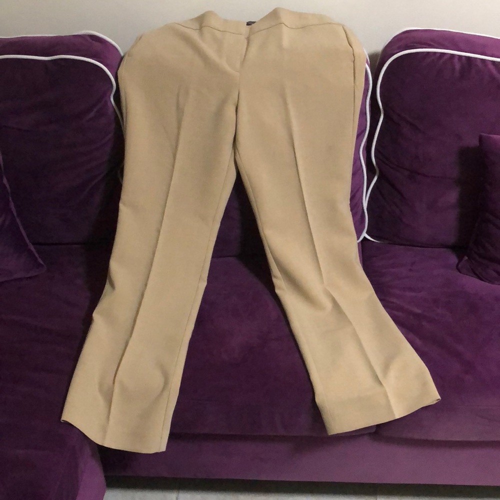 Ann Taylor Factory Beige Trousers